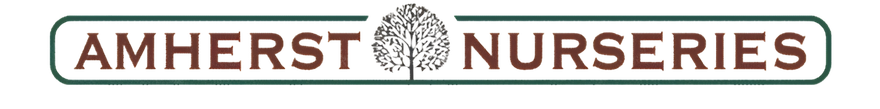 Amherst Nurseries